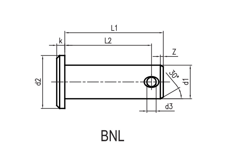 BGL/BNL-N Clevises Pin in Stainless Steel