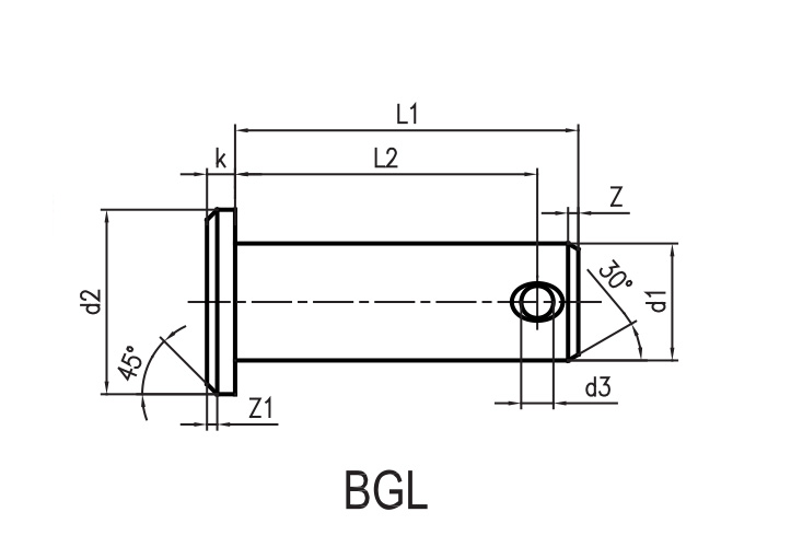 BGL/BNL-N Clevises Pin in Stainless Steel